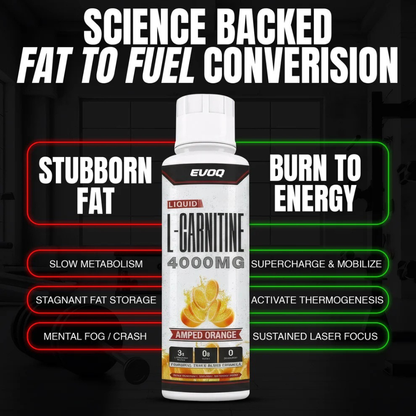 Liquid Carnitine 4000